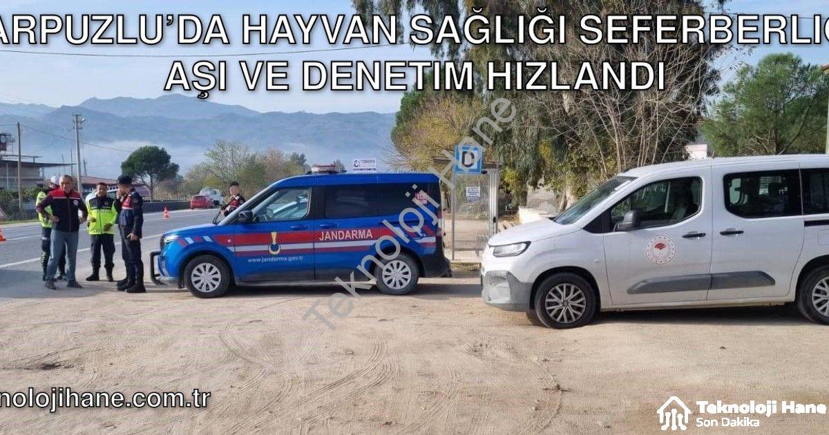 "Karpuzlu’da Hayvan Sağlığı Seferberliği: Aşı ve Denetim Hızlandı" başlıklı haber için fotorealistik