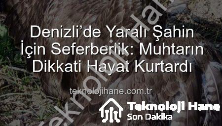 Denizli’de Yaralı Şahin İçin Seferberlik: Muhtarın Dikkati Hayat Kurtardı