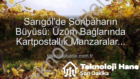 Sarıgöl’de Sonbaharın Büyüsü: Üzüm Bağlarında Kartpostallık Manzaralar Eşliğinde Budama Çalışmaları Başladı