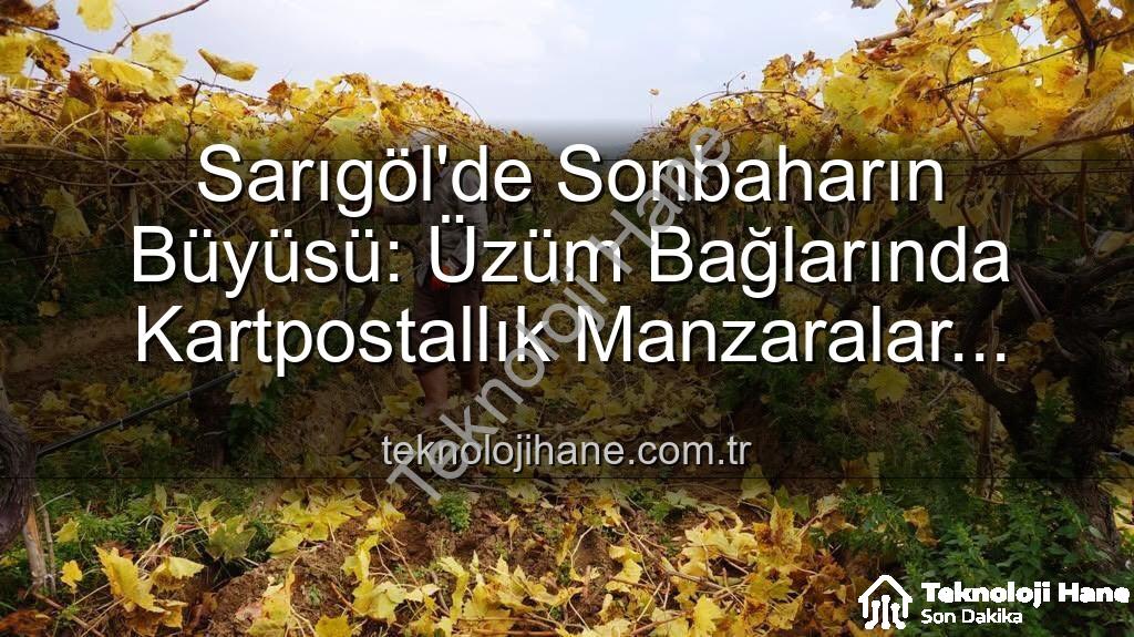 Sarıgöl üzüm bağları - Sarıgöl'de Sonbaharın Büyüsü: Üzüm Bağlarında Kartpostallık Manzaralar Eşliğinde Budama Çalışmaları Başladı