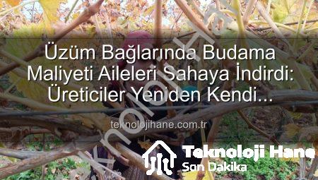 Üzüm Bağlarında Budama Maliyeti Aileleri Sahaya İndirdi: Üreticiler Yeniden Kendi Emeğine Dönüyor