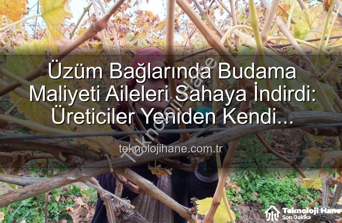 budama maliyeti - Üzüm Bağlarında Budama Maliyeti Aileleri Sahaya İndirdi: Üreticiler Yeniden Kendi Emeğine Dönüyor