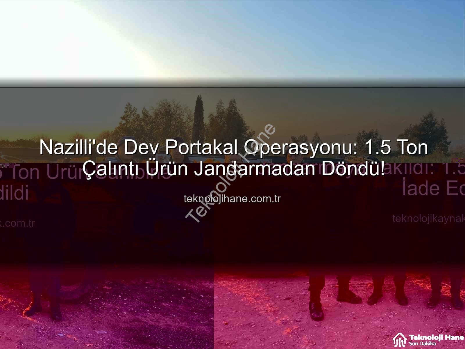 portakal hırsızlığı - Nazilli'de Dev Portakal Operasyonu: 1.5 Ton Çalıntı Ürün Jandarmadan Döndü!