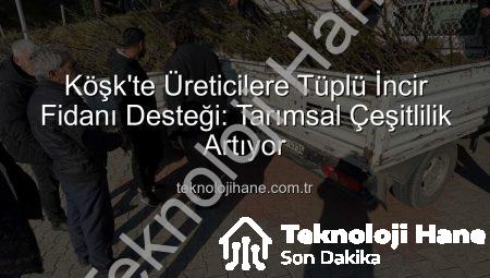 Köşk’te Üreticilere Tüplü İncir Fidanı Desteği: Tarımsal Çeşitlilik Artıyor