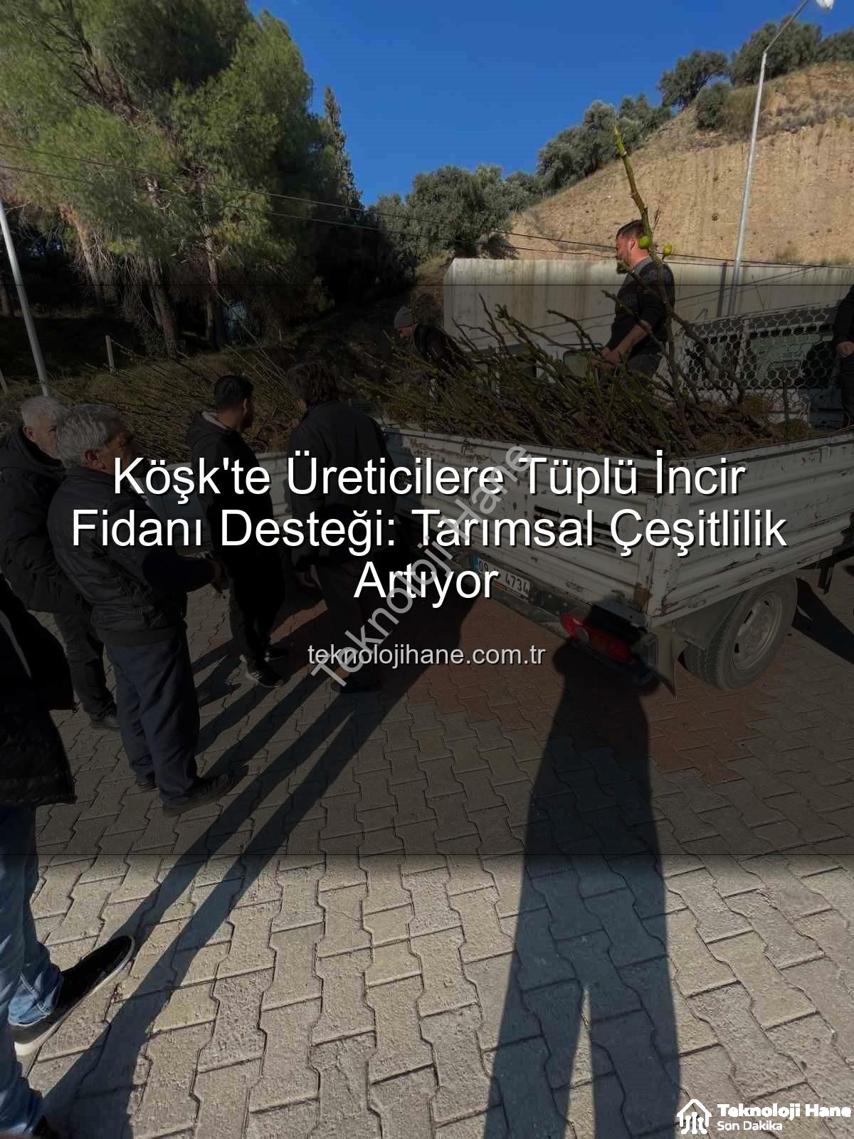 tüplü incir fidanı - Köşk'te Üreticilere Tüplü İncir Fidanı Desteği: Tarımsal Çeşitlilik Artıyor