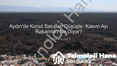 Aydın’da Konut Satışları Düşüşte: Kasım Ayı Rakamları Ne Diyor?