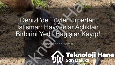 Denizli’de Tüyler Ürperten İstismar: Hayvanlar Açlıktan Birbirini Yedi, Bağışlar Kayıp!