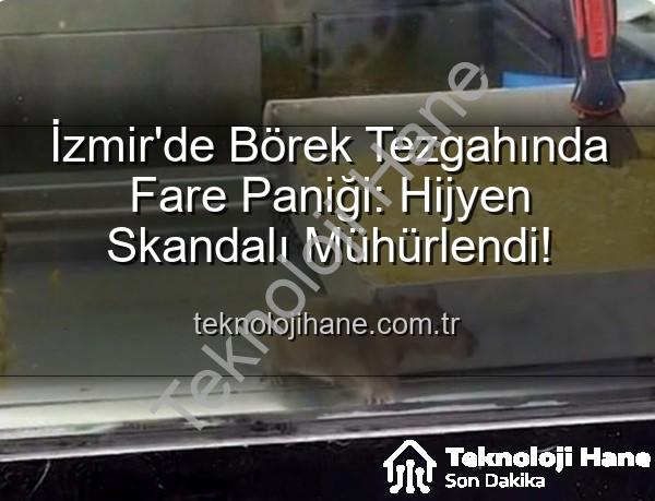 börek tezgahında fare - İzmir'de Börek Tezgahında Fare Paniği: Hijyen Skandalı Mühürlendi!