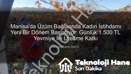 Manisa’da Üzüm Bağlarında Kadın İstihdamı Yeni Bir Dönem Başlatıyor: Günlük 1.500 TL Yevmiye İle Üretime Katkı