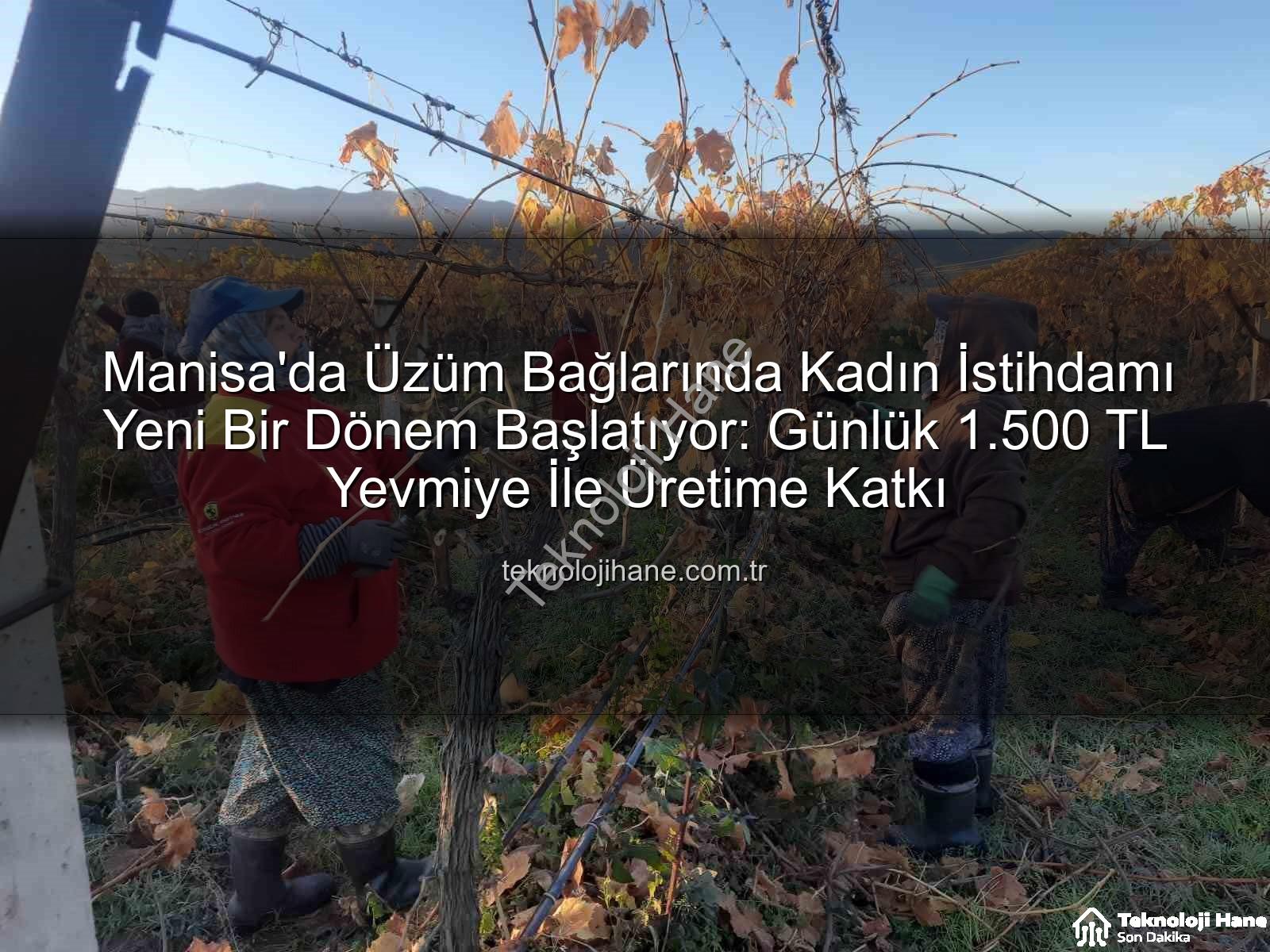 kadın istihdamı - Manisa'da Üzüm Bağlarında Kadın İstihdamı Yeni Bir Dönem Başlatıyor: Günlük 1.500 TL Yevmiye İle Üretime Katkı