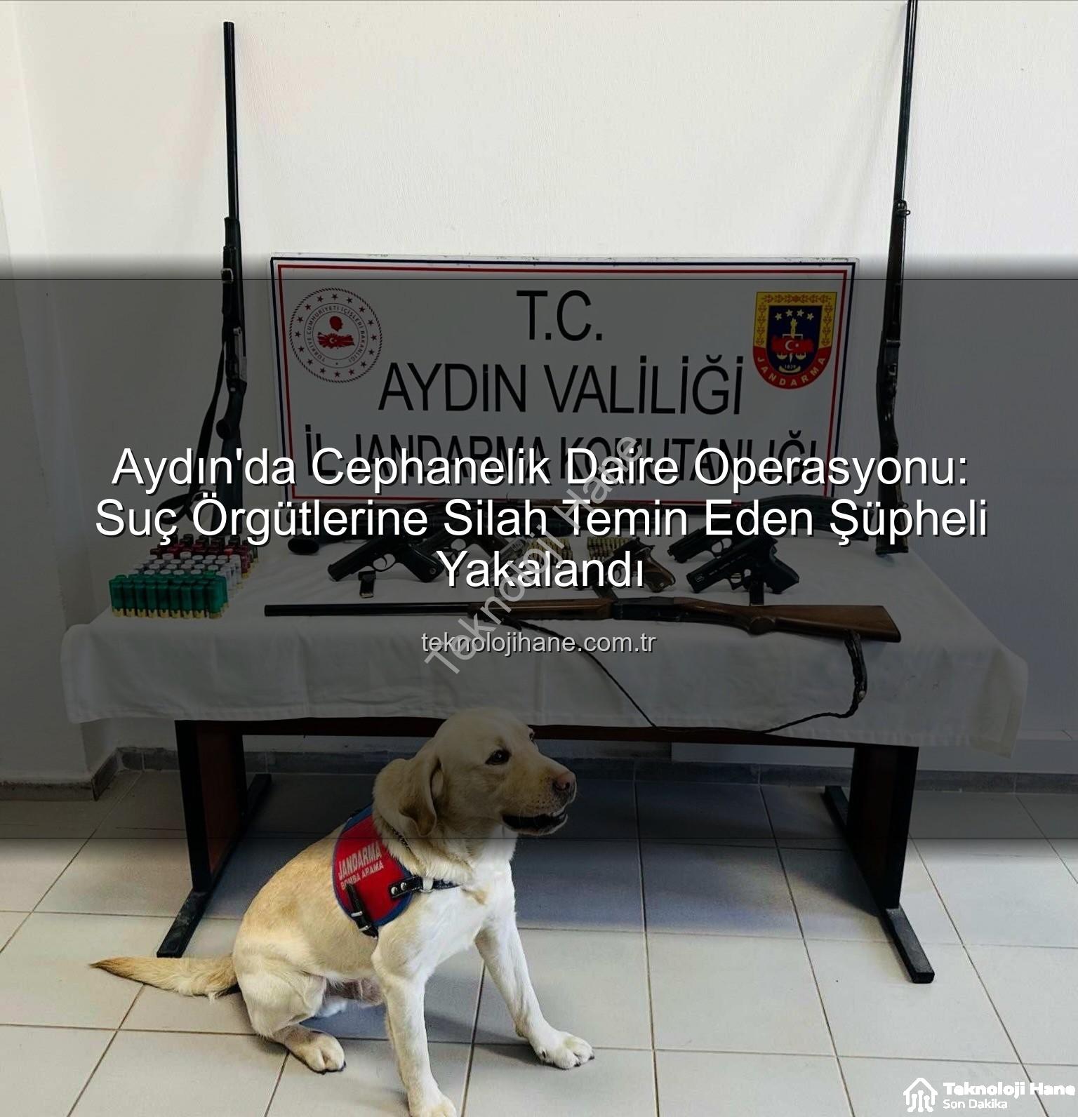 ruhsatsız silah - Aydın'da Cephanelik Daire Operasyonu: Suç Örgütlerine Silah Temin Eden Şüpheli Yakalandı