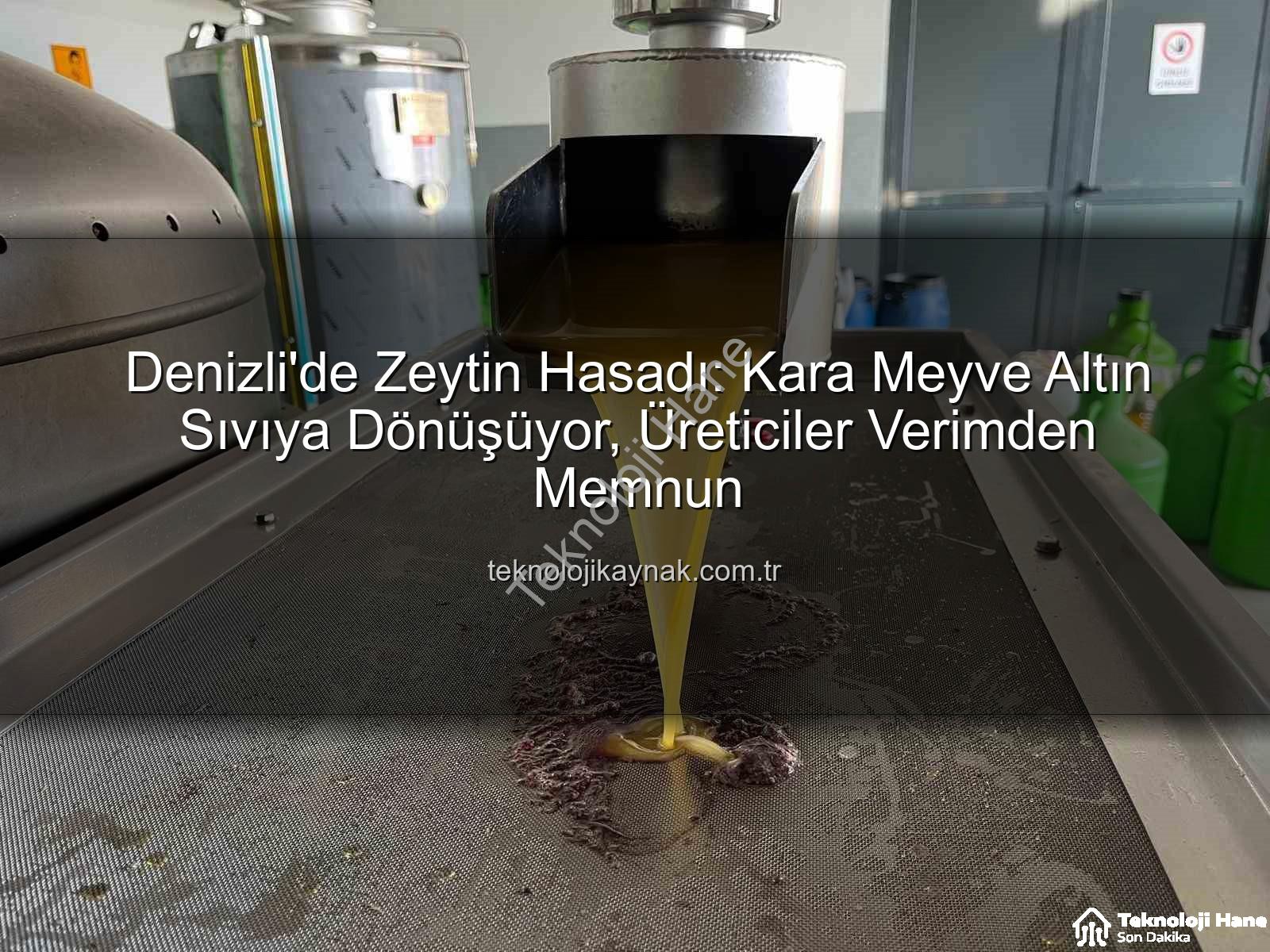 zeytinyağı üretimi - Denizli'de Zeytin Altın Sıvıya Dönüşüyor: Buldan'dan Zeytinyağı Üretiminin Püf Noktaları