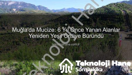 Muğla’da Mucize: 6 Yıl Önce Yanan Alanlar Yeniden Yeşil Örtüye Büründü