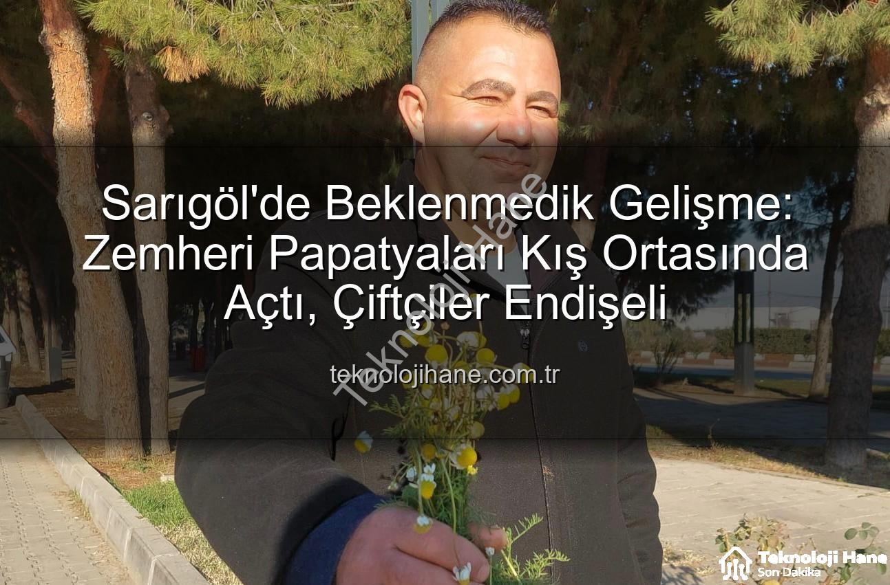 zemheri papatyaları - Sarıgöl'de Beklenmedik Gelişme: Zemheri Papatyaları Kış Ortasında Açtı, Çiftçiler Endişeli